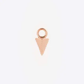 Aegis Charm - 14K ROSE