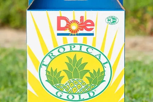 Fresh Pineapple 10lb Pack