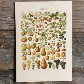 Fruits - Greeting card