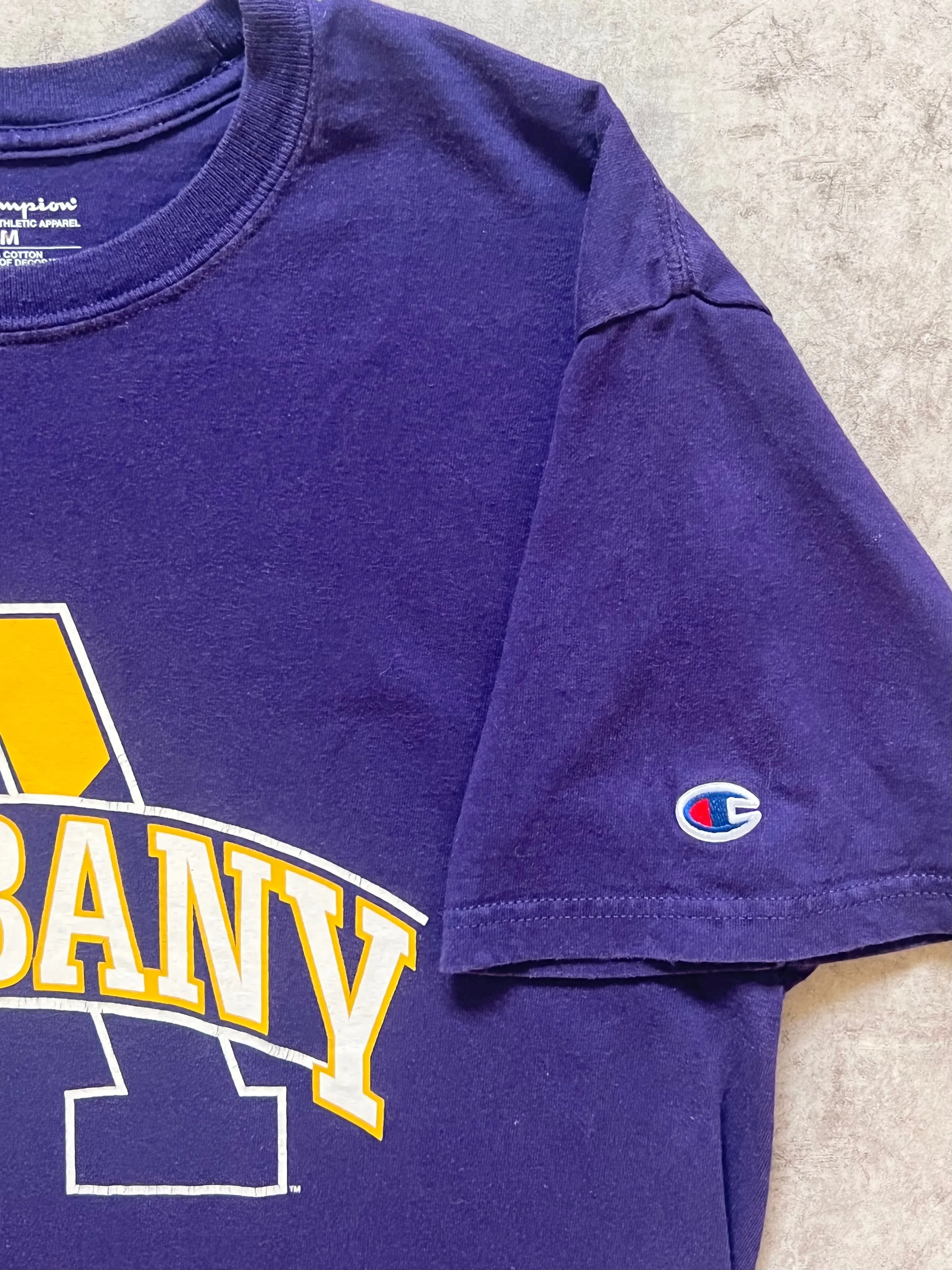 Vintage Champion Ualbany Tee (M)